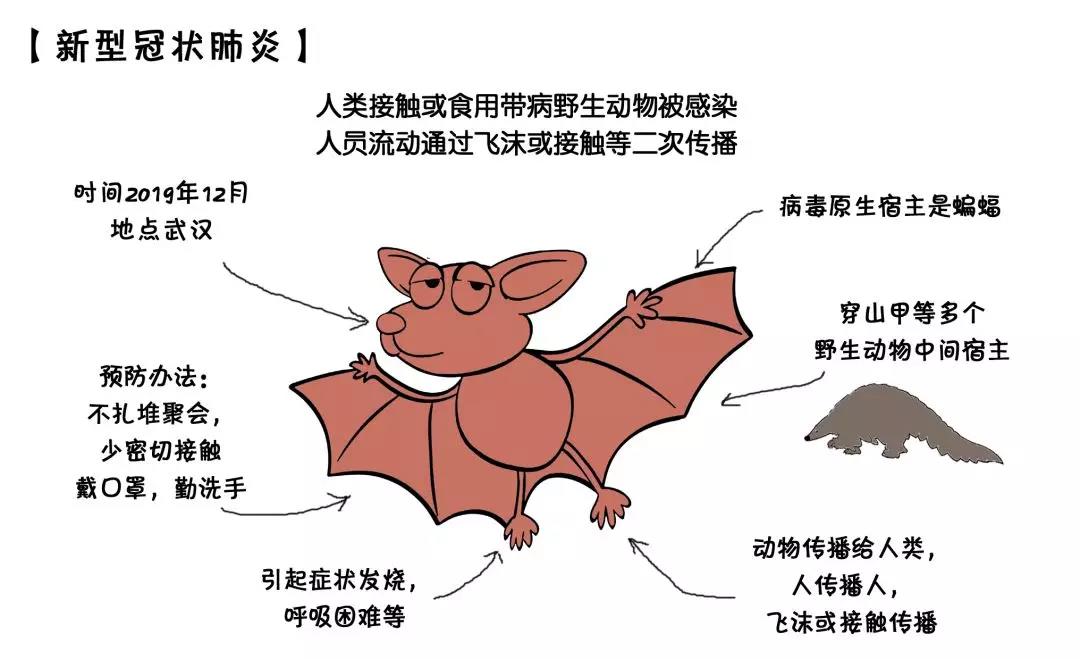 新型冠状病毒