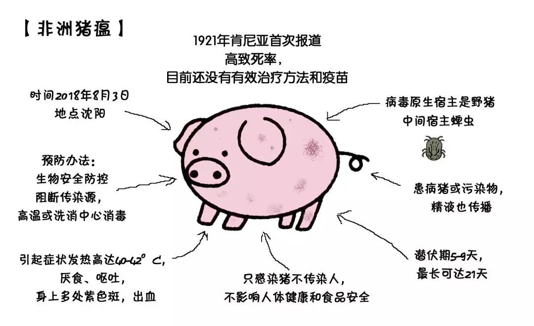 非洲猪瘟田园奥瑞